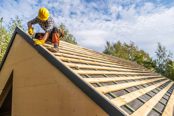 Best Roof Gutter Cleaning  in Schererville, IN